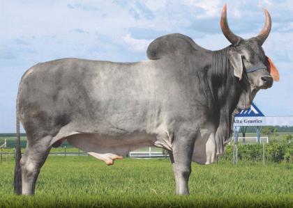 AIMORÉ S