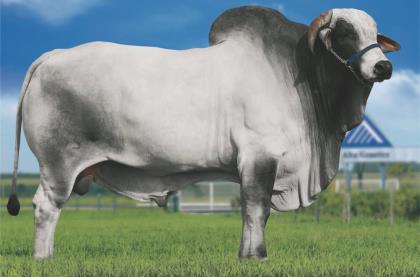 D2268 da MN