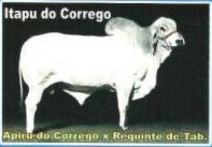 ITAPU DO CORREGO