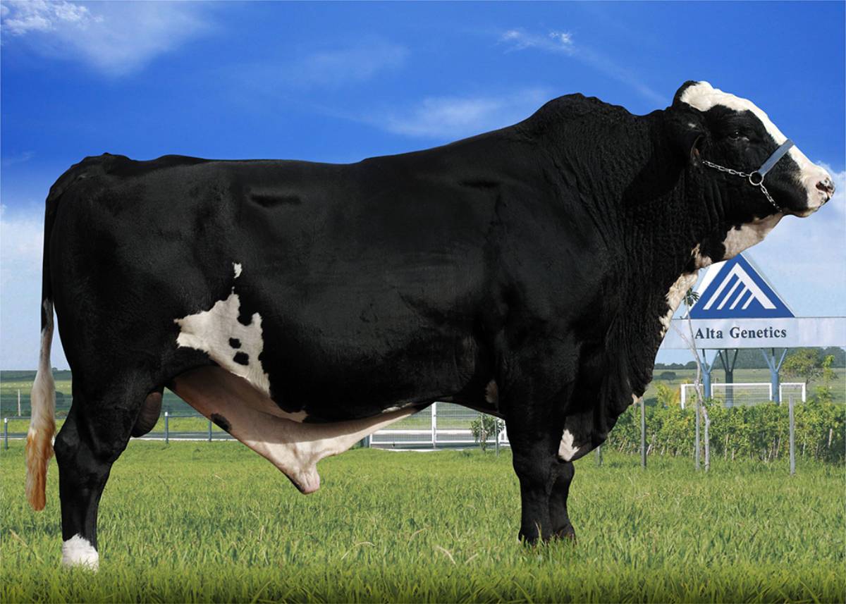 RINCÃO ITAIPU Y 5_8