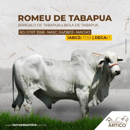 ROMEU DE TABAPUA