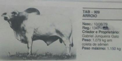 ARROIO