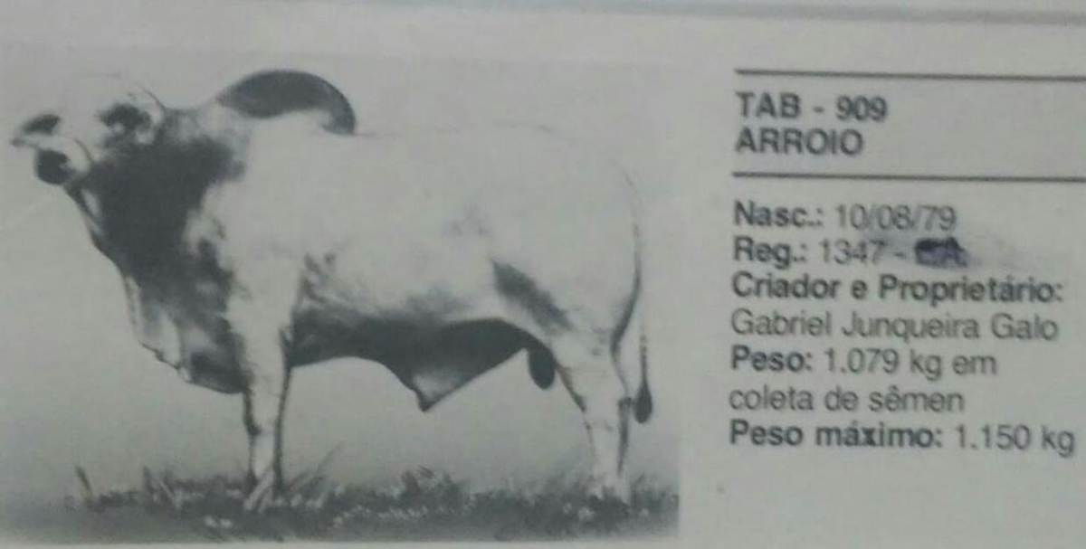 ARROIO