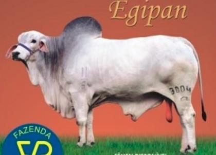 EGIPAN DA PRATA - PRT 3004