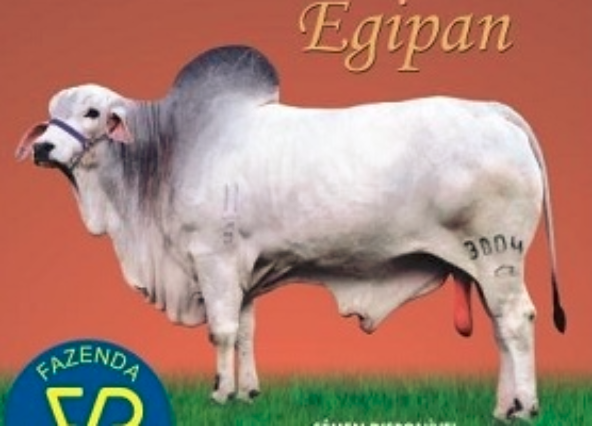 EGIPAN DA PRATA - PRT 3004